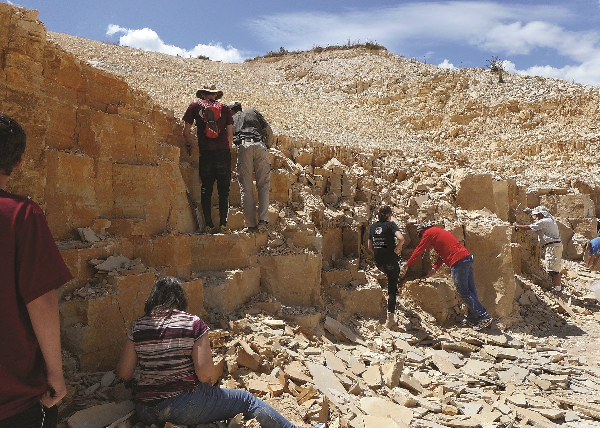 people exploring a site for fossils