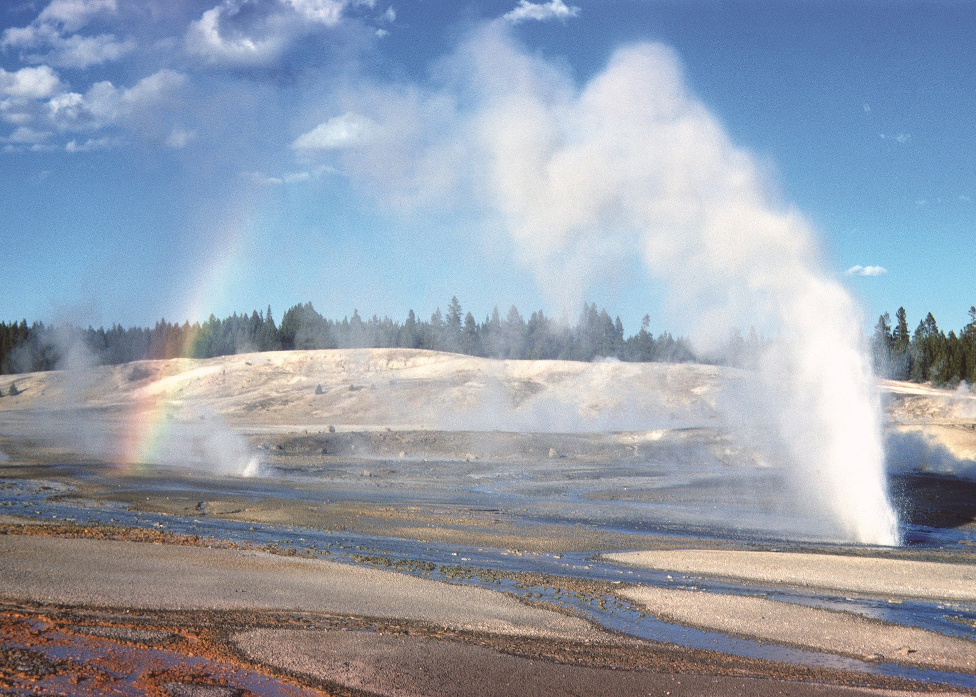 Africa Geyser at Norris Geyser Basin, Yellowstone National Park, Wyoming, USA