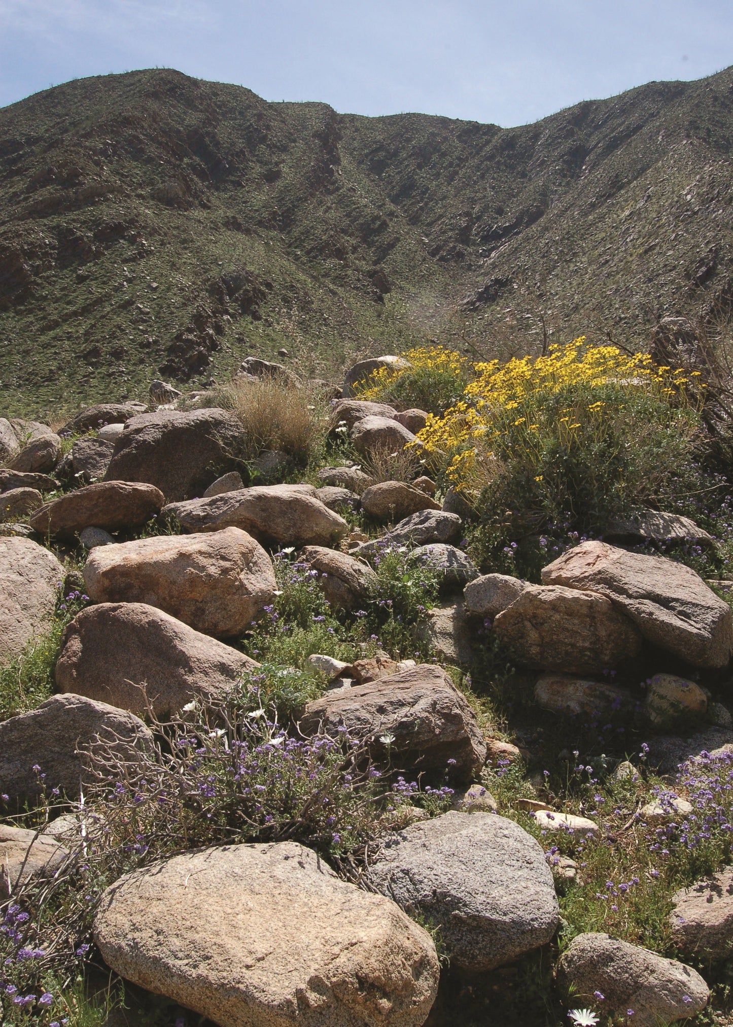 Desert landscape with rocky terrain and sparse vegetation under a clear blue sky.