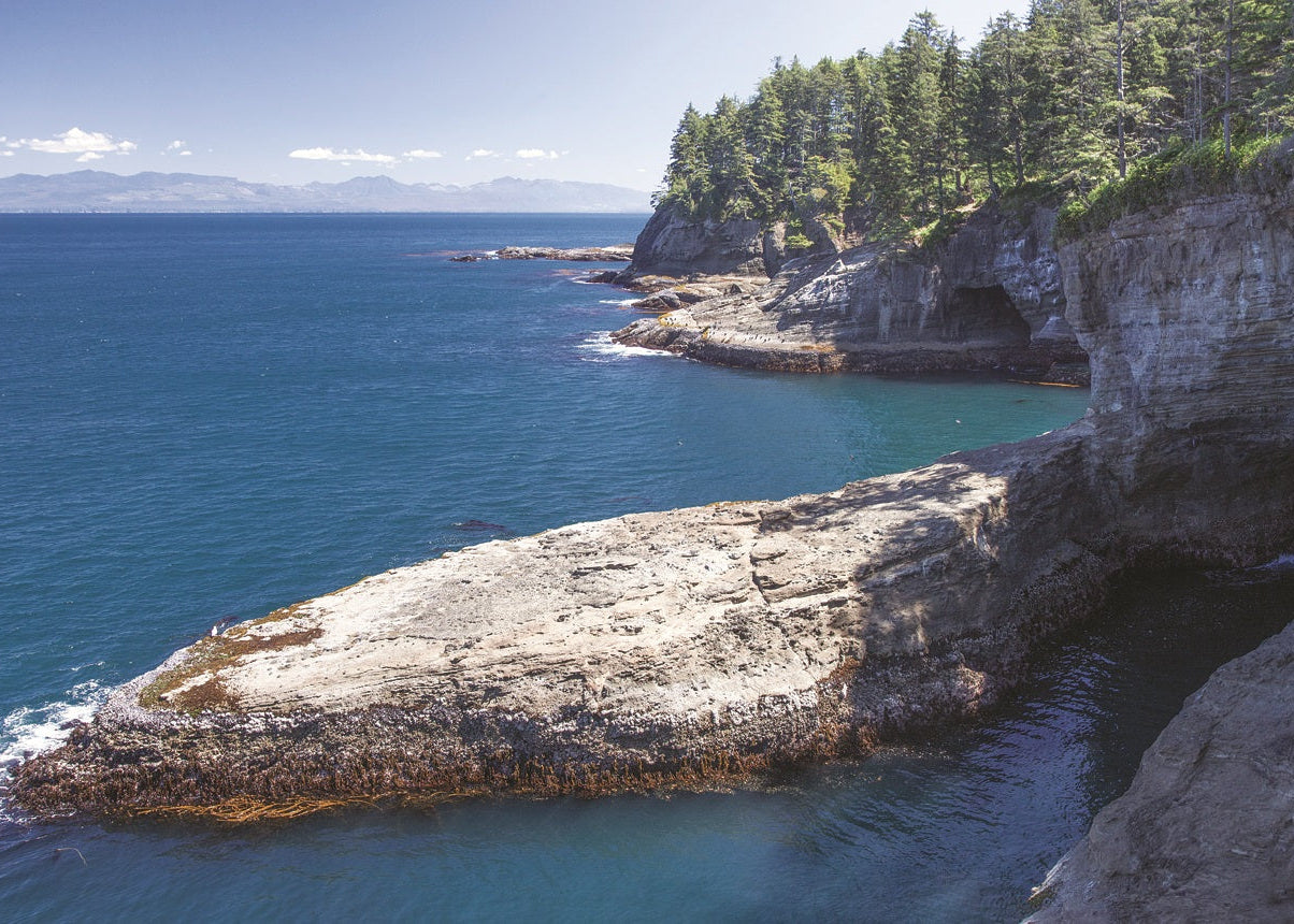 The Lyre Formation along the coastline at Cape Flattery, where the Strait of Juan de Fuca joins the Pacific Ocean