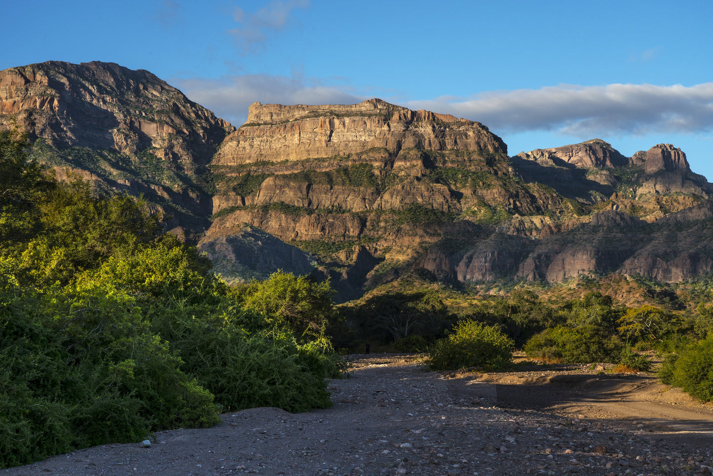 Bushy green plants flank gravel in the foreground. Large cliffs tower under blue sky and clouds in the background. Loreto Sierra Foothills image.