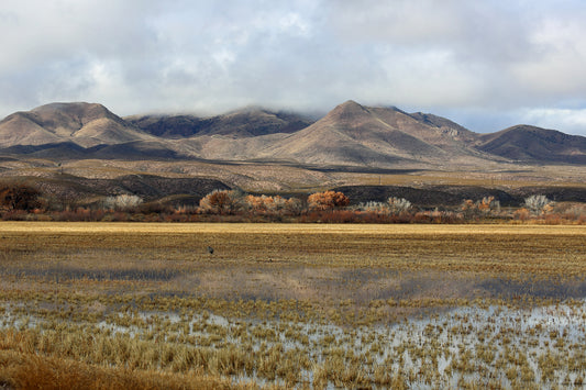 Lake Socorro image. Field with layer of water, hills and low clouds in background.