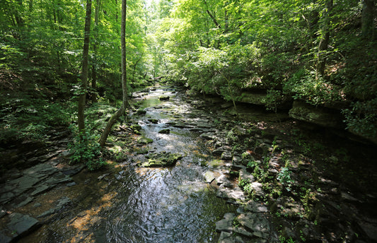 A wide creek flows through densely vegetated area and is flanked by dark rock. Coon Creek image.
