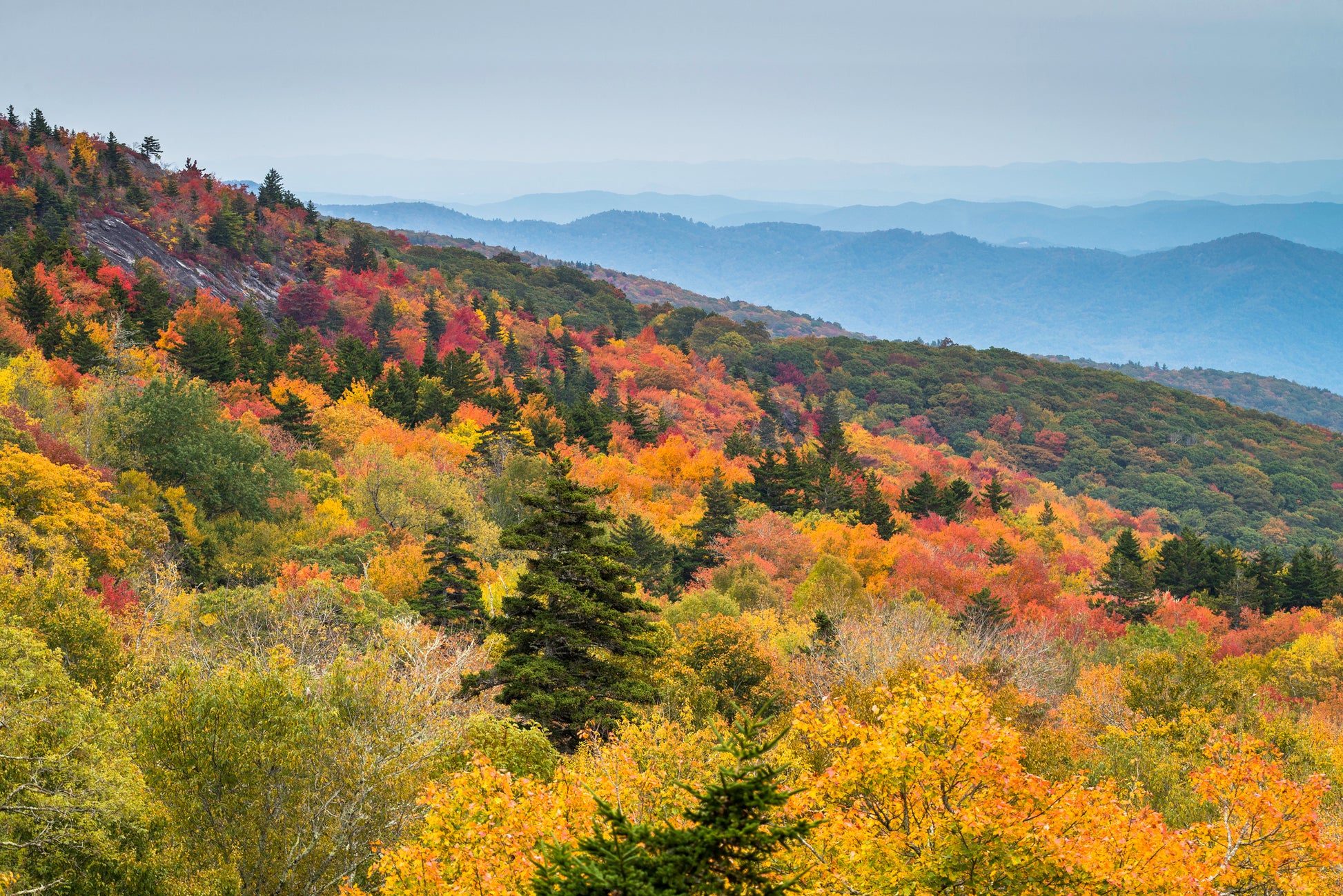 View into a tree-covered valley. The trees are green, yellow, orange, and red. Rows of hills and blue-gray sky are in the background. Virtual Appalachian Trip image.