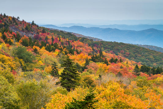 View into a tree-covered valley. The trees are green, yellow, orange, and red. Rows of hills and blue-gray sky are in the background. Virtual Appalachian Trip image.
