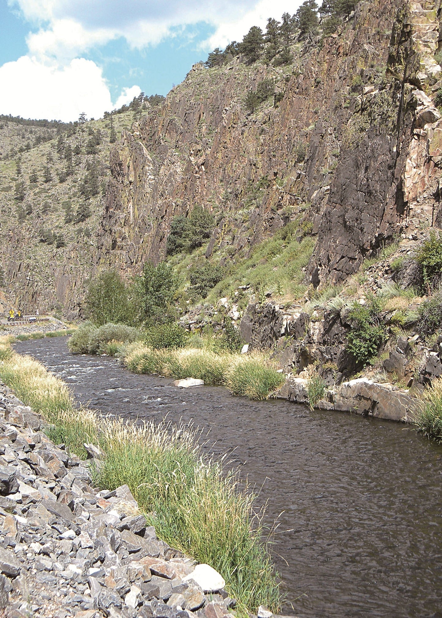 River flowing through a canyon with rocky walls and greenery, Colorado 