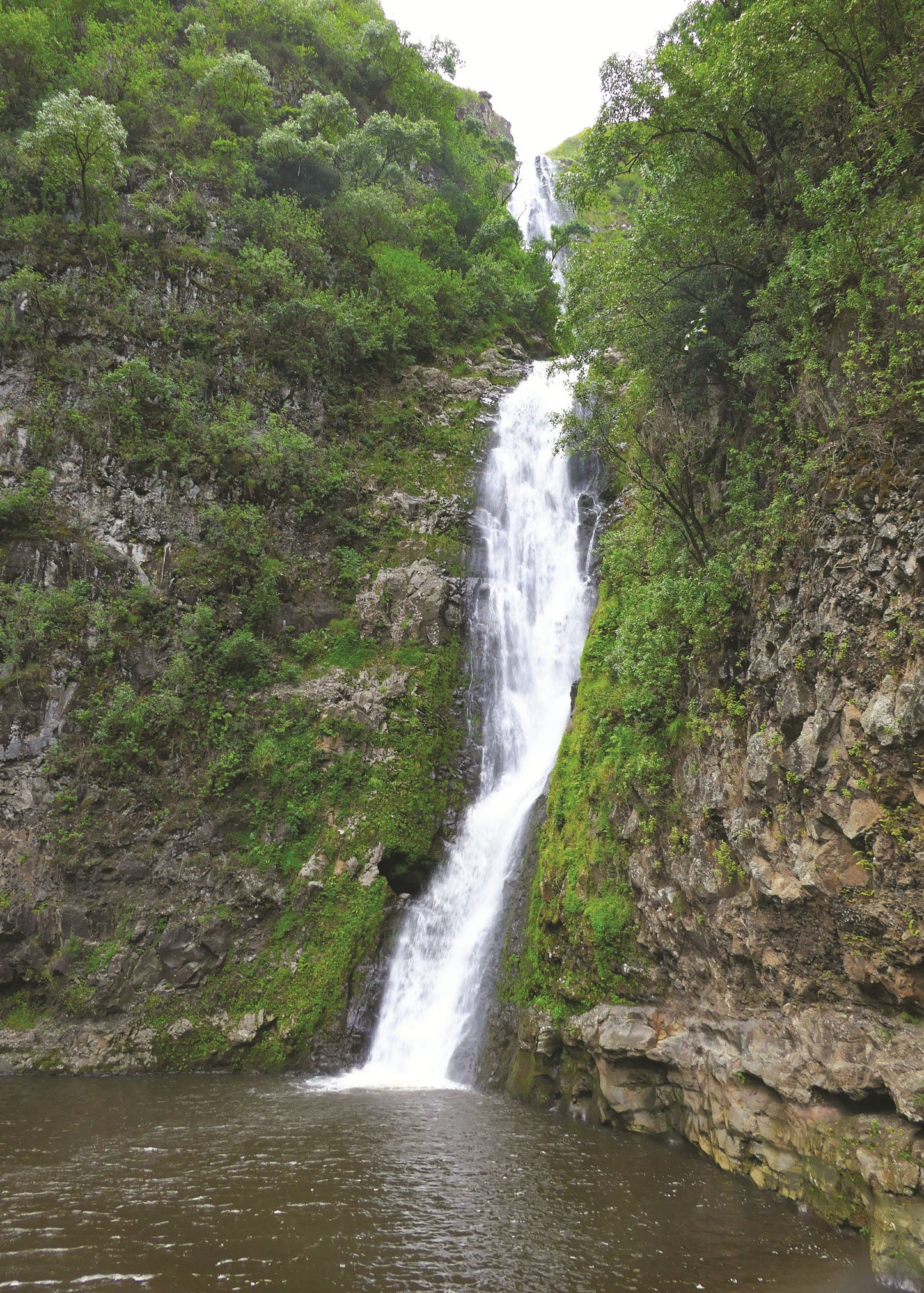Waterfall cascading down a rocky cliff into a pool surrounded by greenery, Hawaii