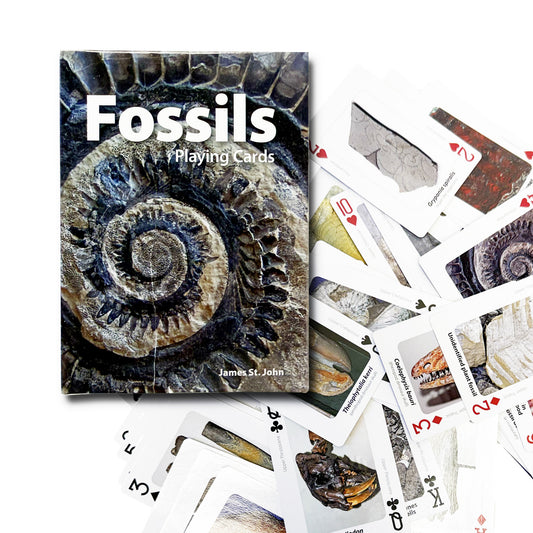 fossils playing cards set