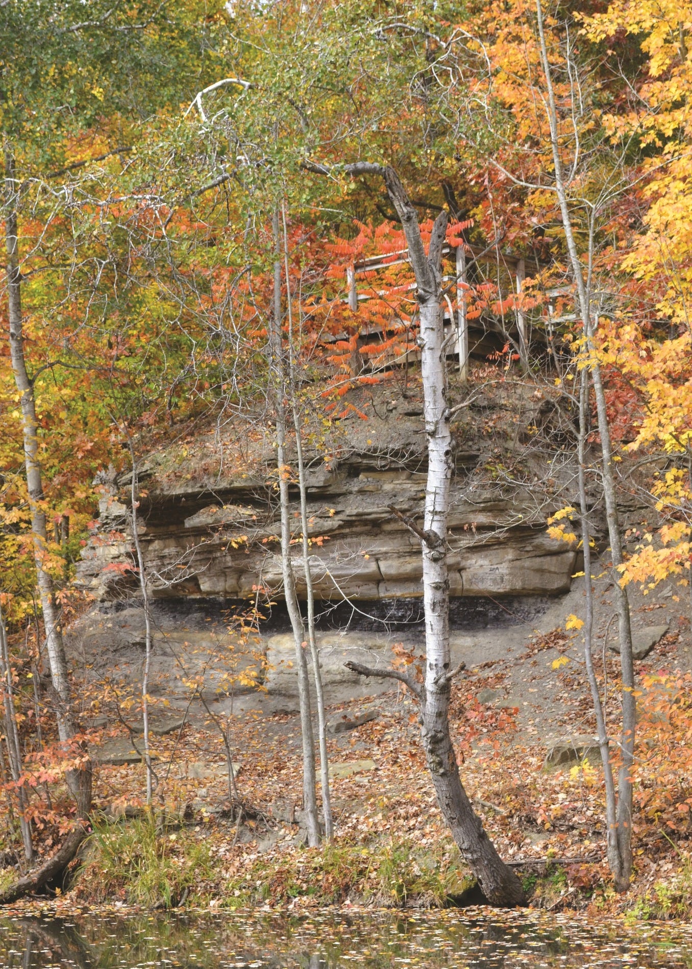 Rocks with trees and autumn foliage in a forest setting in Michigan