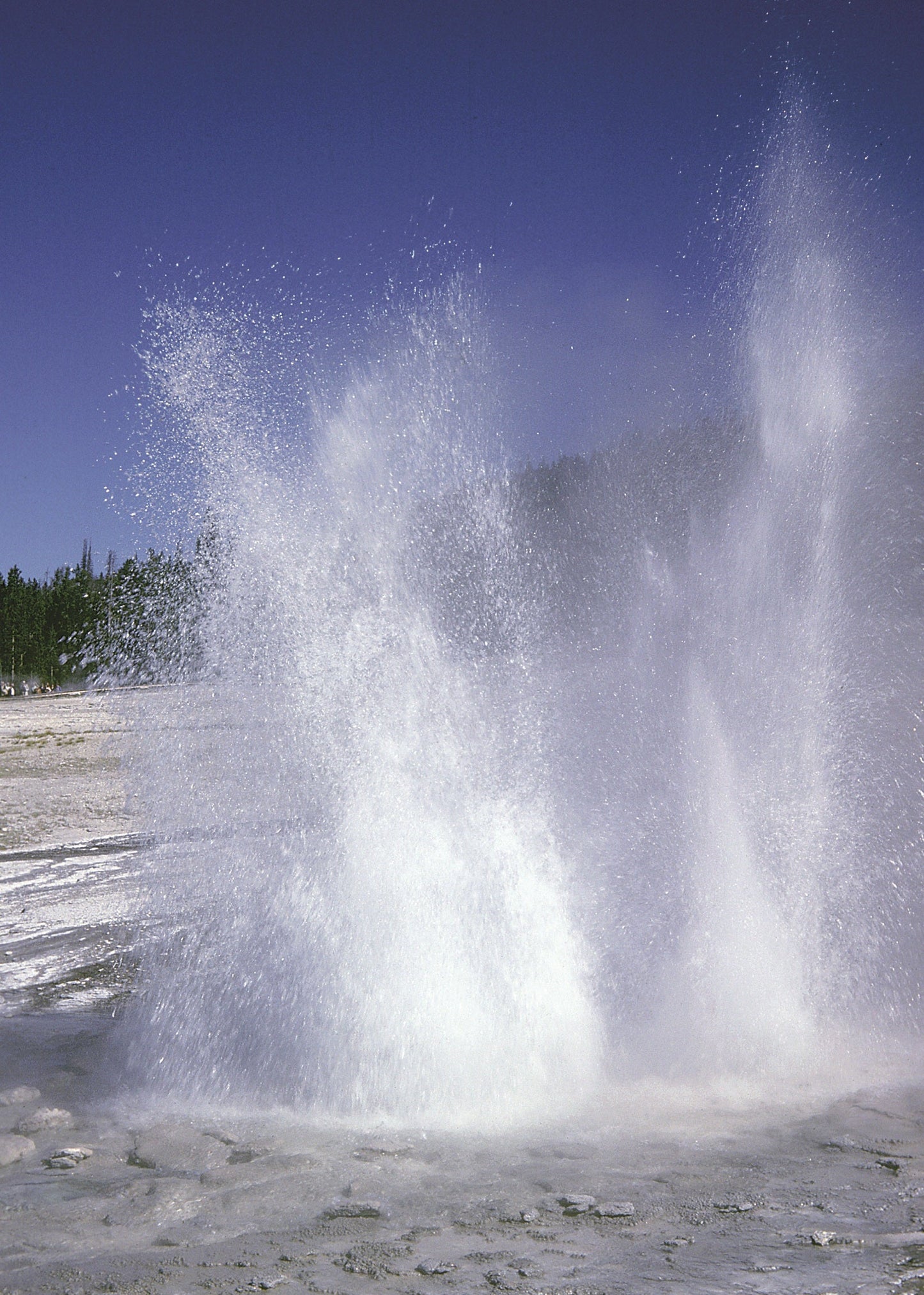 Plume Geyser, 1980, at Yellowstone National Park, Wyoming, USA