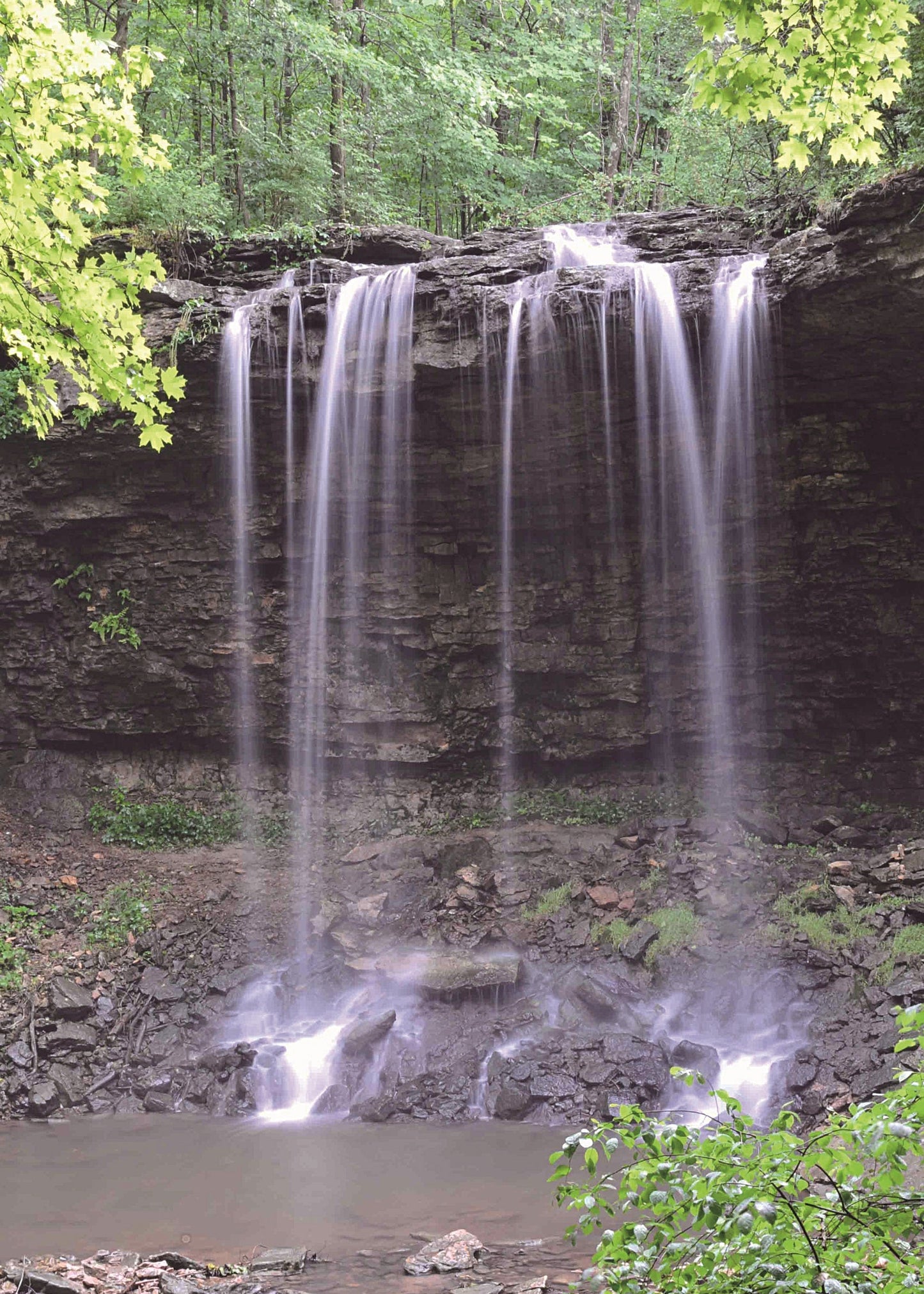 waterfall surrounded by trees, ohio