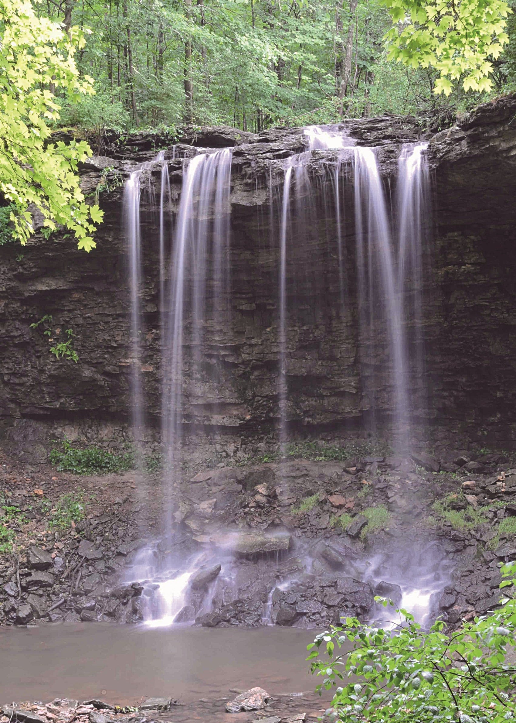 waterfall surrounded by trees, ohio