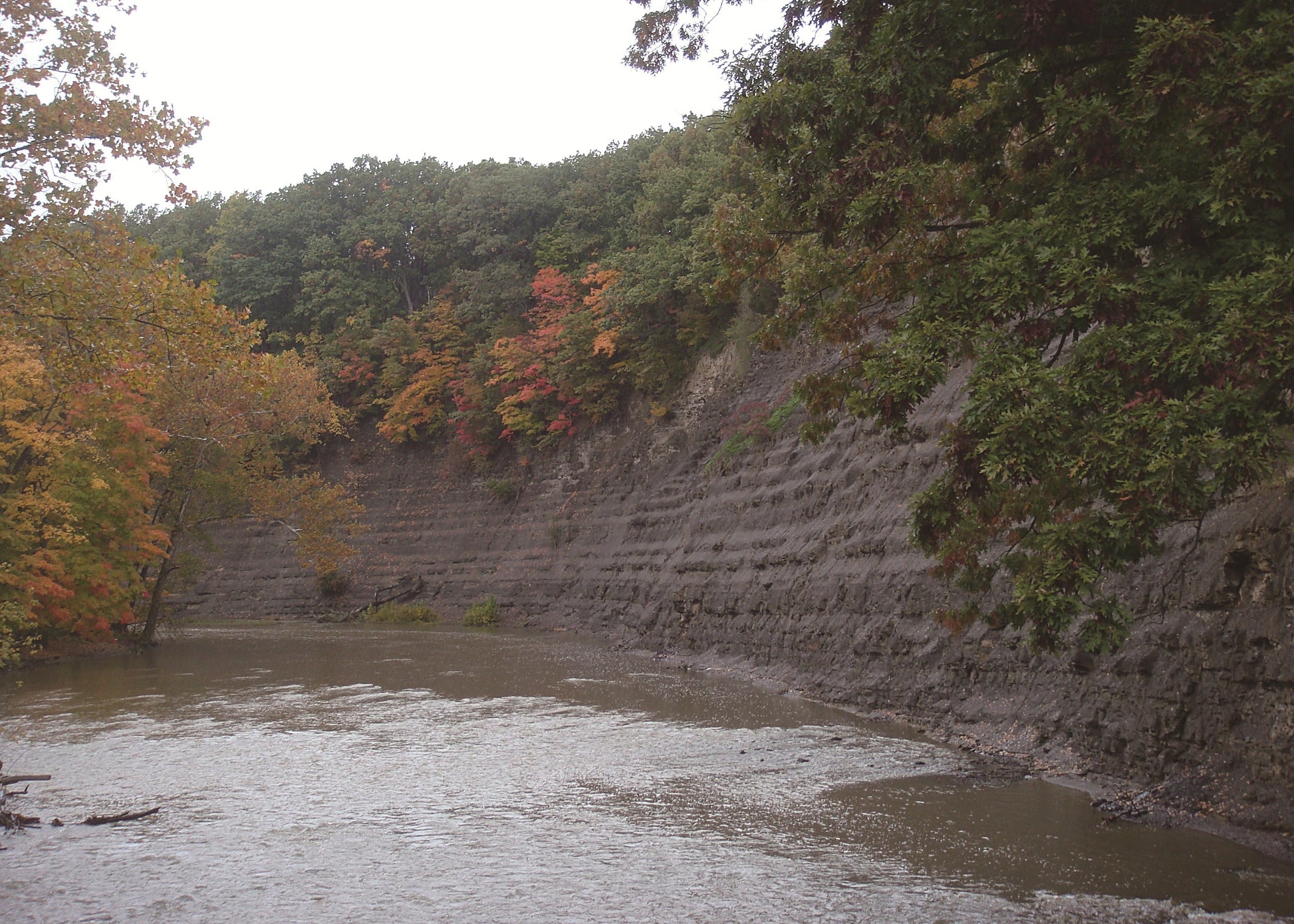 autumn trees above a rock wall with a river below 