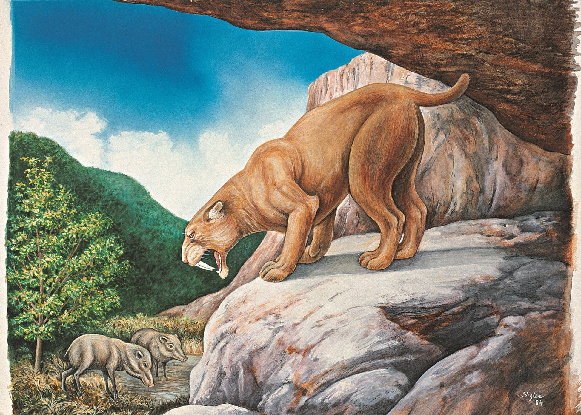 Prehistoric scene with a large carnivorous dinosaur-like creature and two smaller animals on a rocky outcrop.
