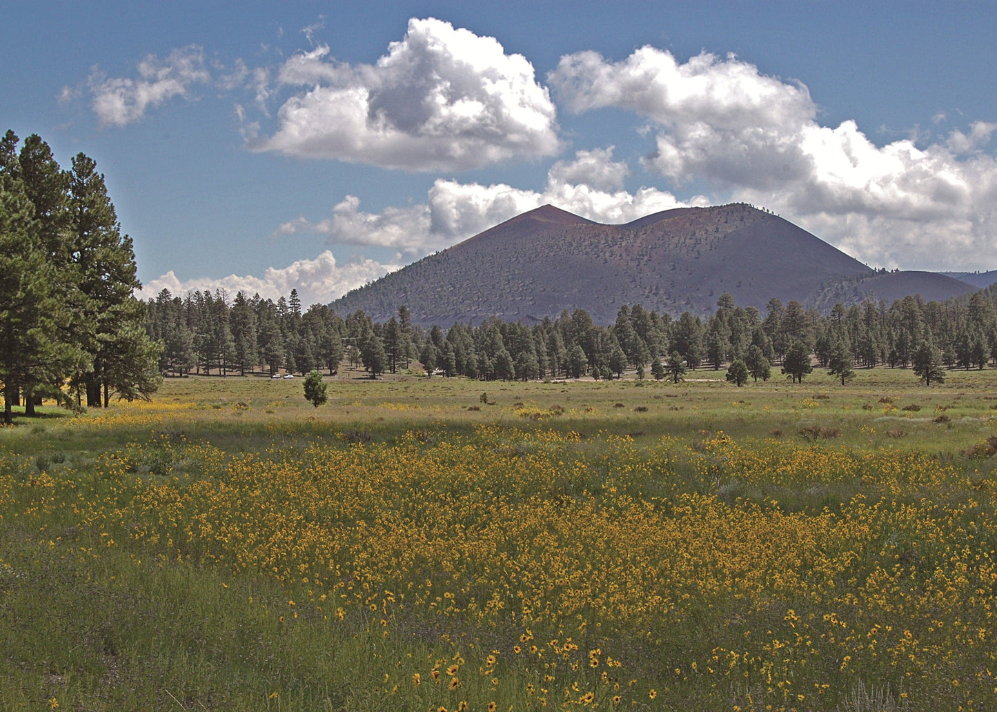 Sunset Crater Volcano National Monument near Flagstaff, Arizona, USA