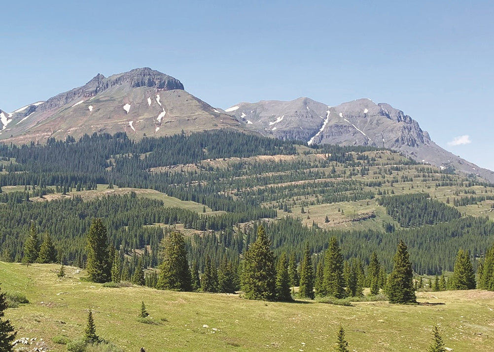 Scenic view of mountains and greenery with clear blue sky, Hermosa ledges, Colorado