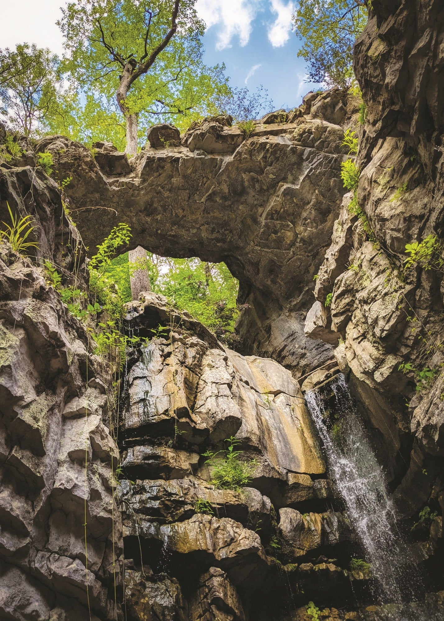 A scenic view of a rocks with a small waterfall cascading down the right side, surrounded by green trees and plants under a blue sky with white clouds.