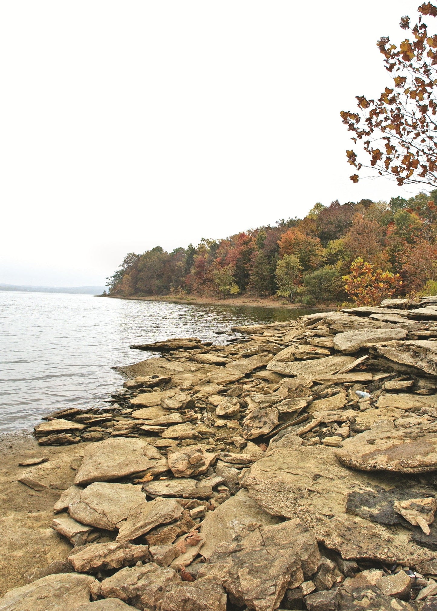 Five distinct biological zones occur within 2.5 miles along the Monroe Lake
shoreline. The unique fossils that lived in these zones provide evidence that
environmental differences controlled organism distribution. Indiana 