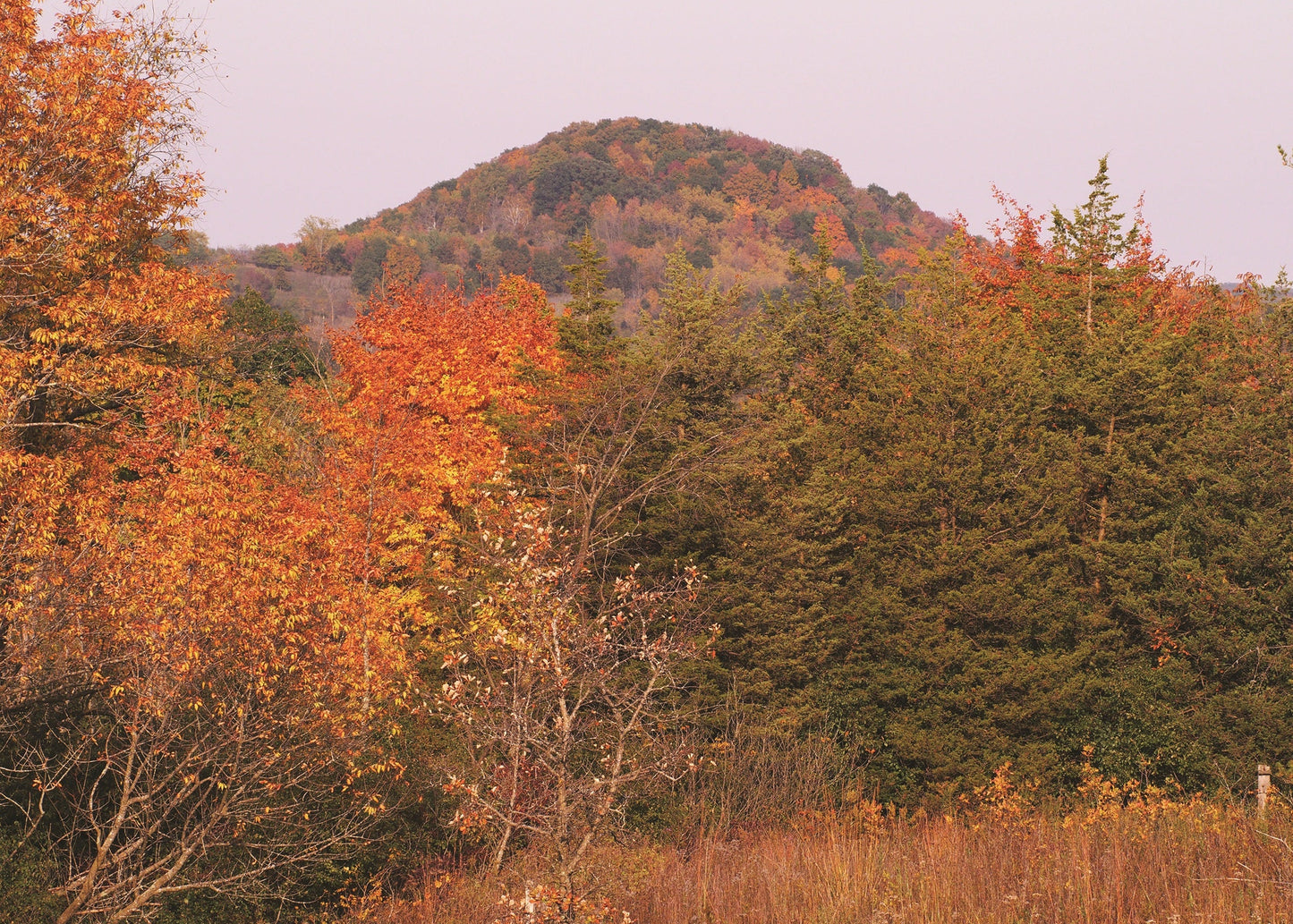 Dundee Mountain, a moulin kame in the Kettle Moraine, in the autumn with orange and gold trees. Wisconsin 