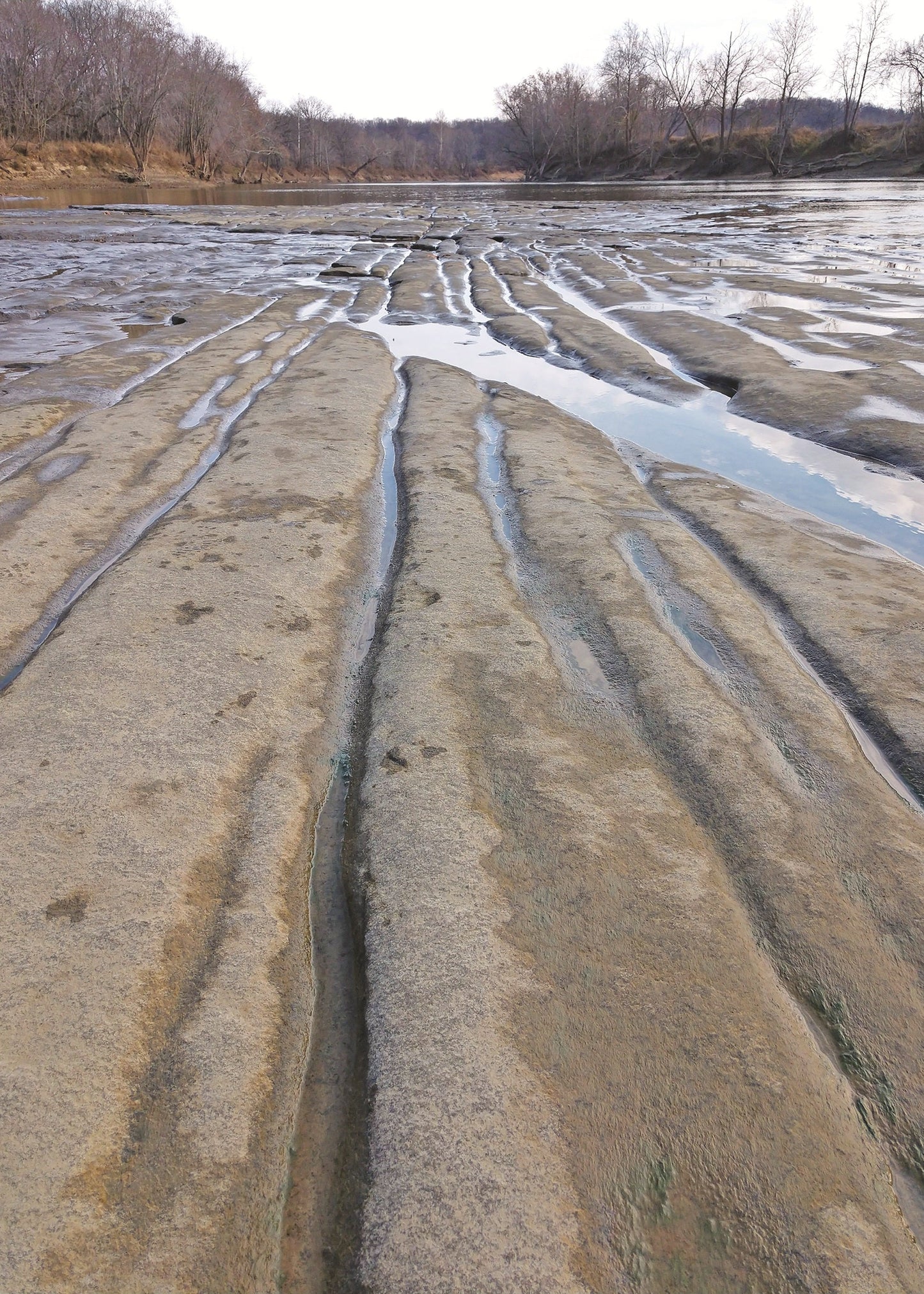 Streams fl owing underneath glacial ice eroded 2-to-4-inch-deep channels into the sandstone bedrock. Bedding planes in the sandstone cross the eastward-oriented grooves at oblique angles. Hindostan Falls, Indiana 