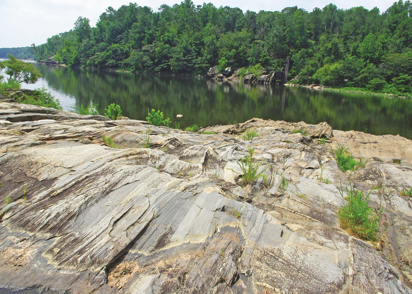 A scenic landscape photograph showing a calm river with green water and a dense forest on the opposite bank, bordered by large, banded gneiss formations in the foreground with small green plants growing through the stone.