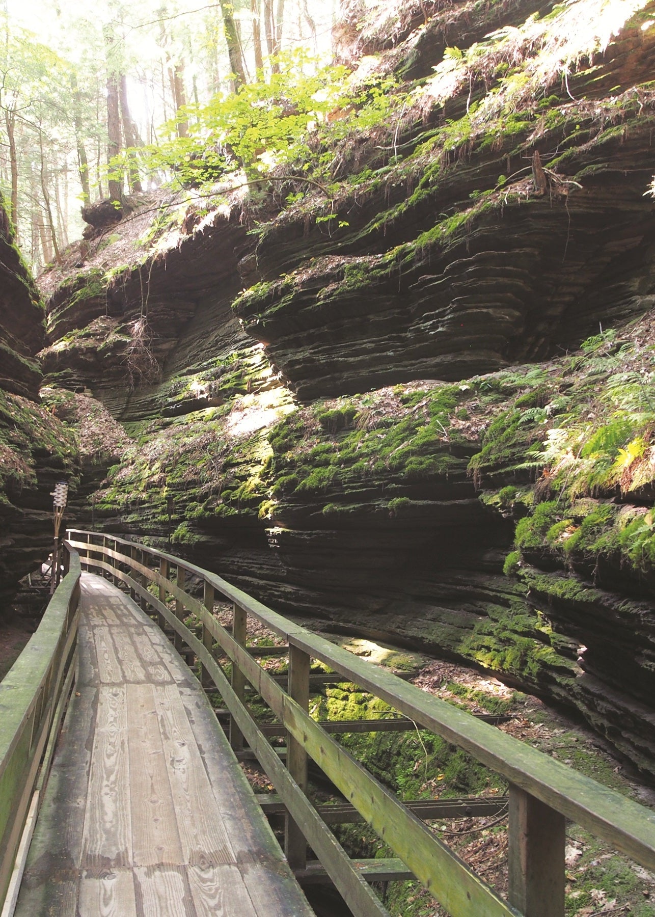 A footpath in Witch’s Gulch, a narrow tributary canyon with 30-to-40-foothigh
walls. Wisconsin