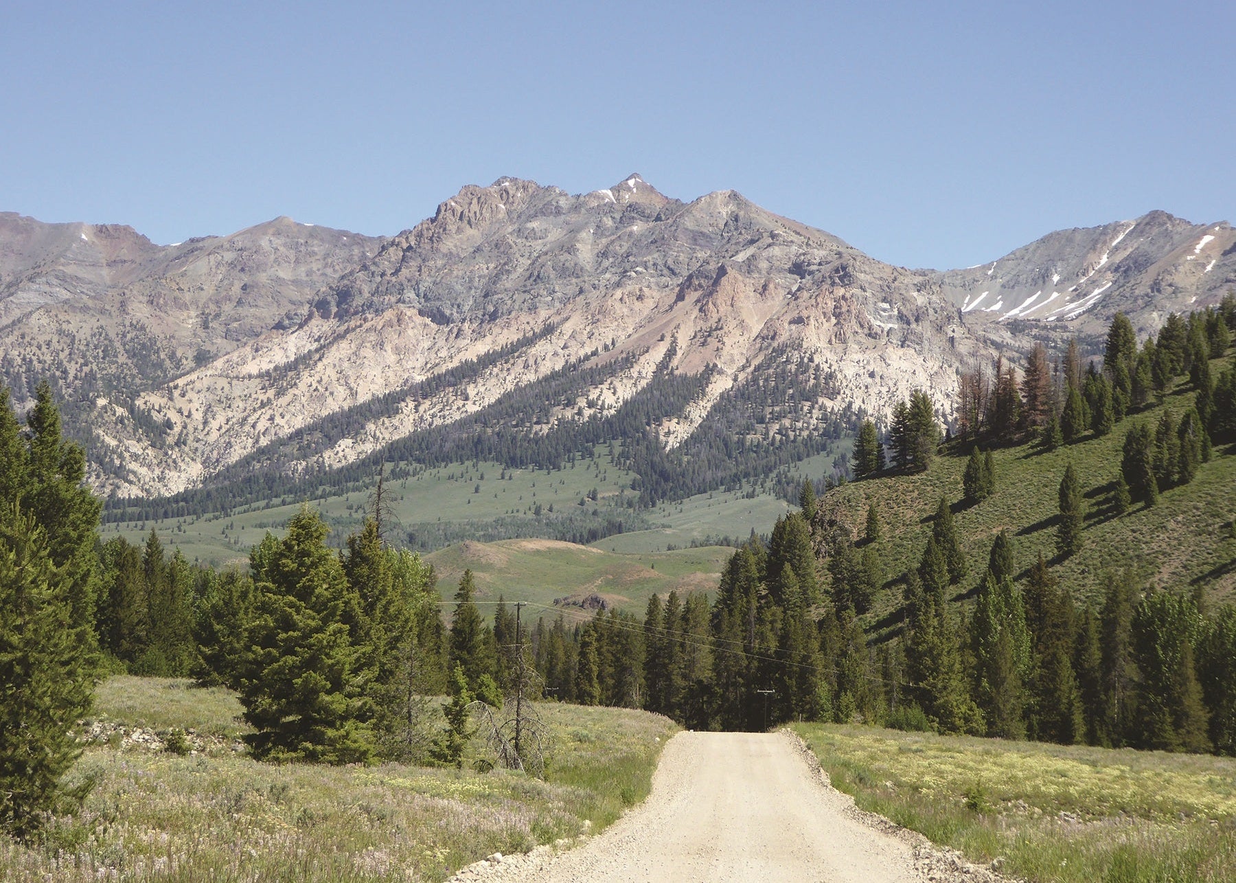 Scenic view of mountains with a dirt road and trees in the foreground, Idaho