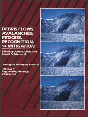 Debris Flows and Avalanches