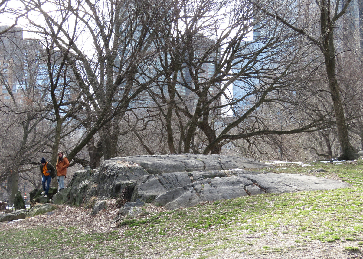 A bedrock knob carved to a roche moutonée in Central Park near Columbus Circle, New York