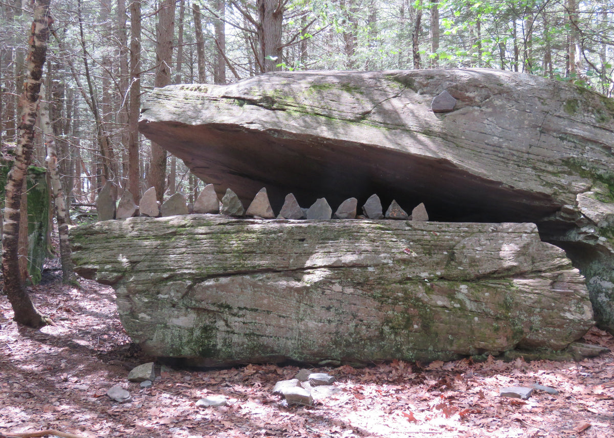 Alligator Rock in the Catskills, New York 