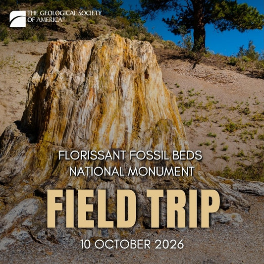 Petrified tree stump with preserved wood grain and mineralized textures exposed in a dry, sandy landscape with pine trees and hills in the background. Text advertises a GSA field trip. 
