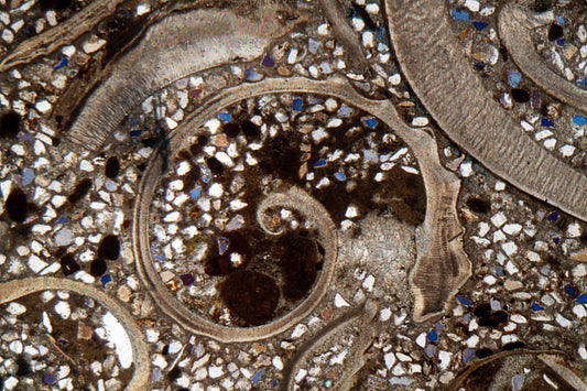 SC25CN511. Introduction to Siliciclastic Depositional Environments