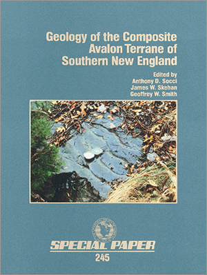 Geology of the Composite Avalon Terrane