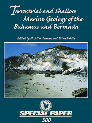 Terrestrial and Shallow Marine Geology of the Bahamas