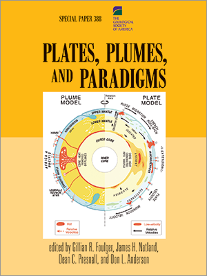 Plates, Plumes, and Paradigms