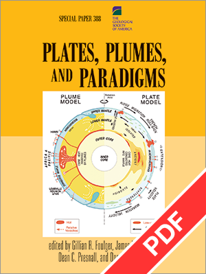 Plates, Plumes, and Paradigms