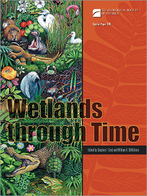 Wetlands through Time