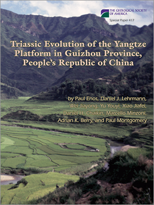 Triassic Evolution of the Yangtze Platform