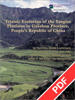 Triassic Evolution of the Yangtze Platform