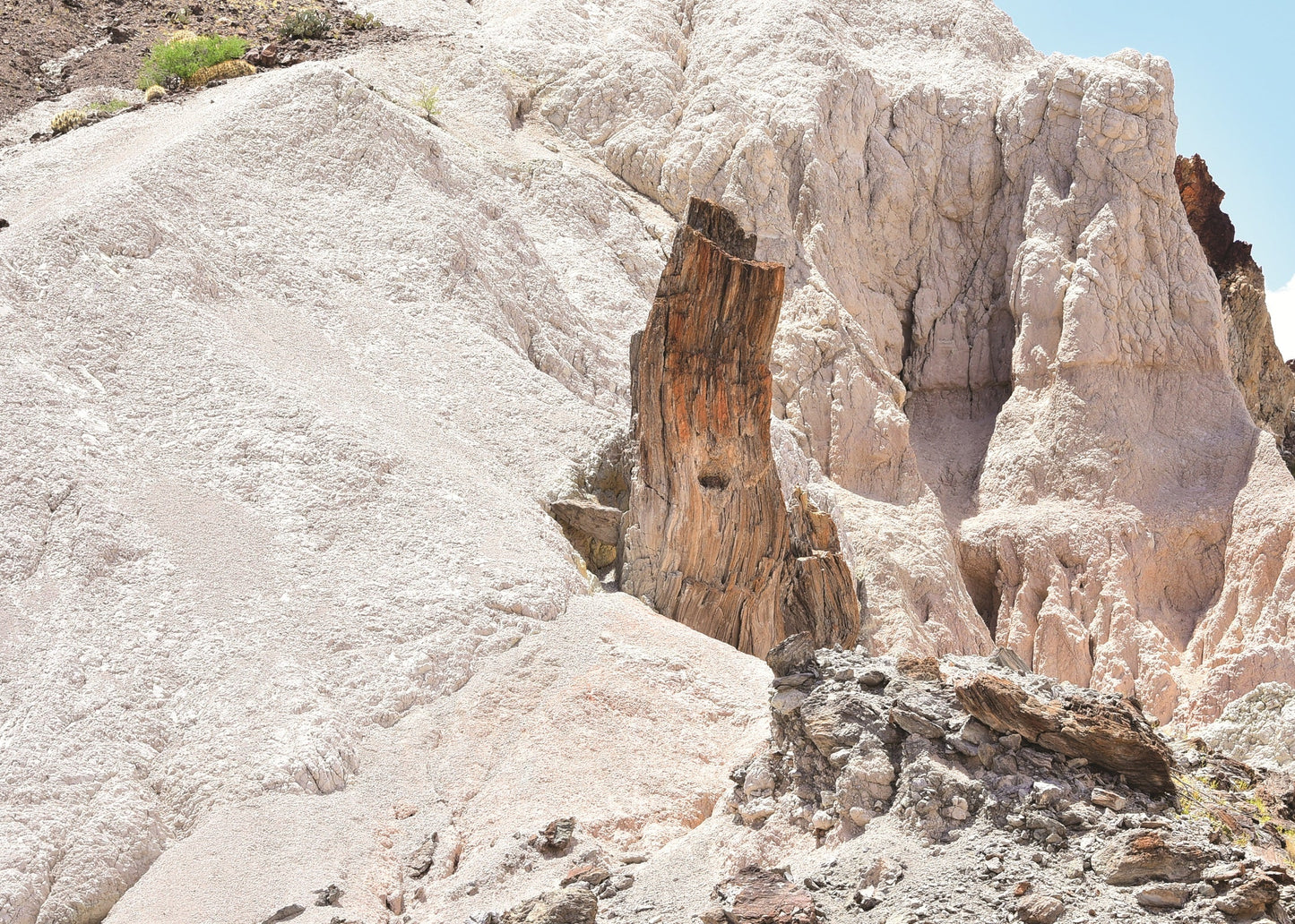 Burro Mesa Rhyolite, Texas, USA