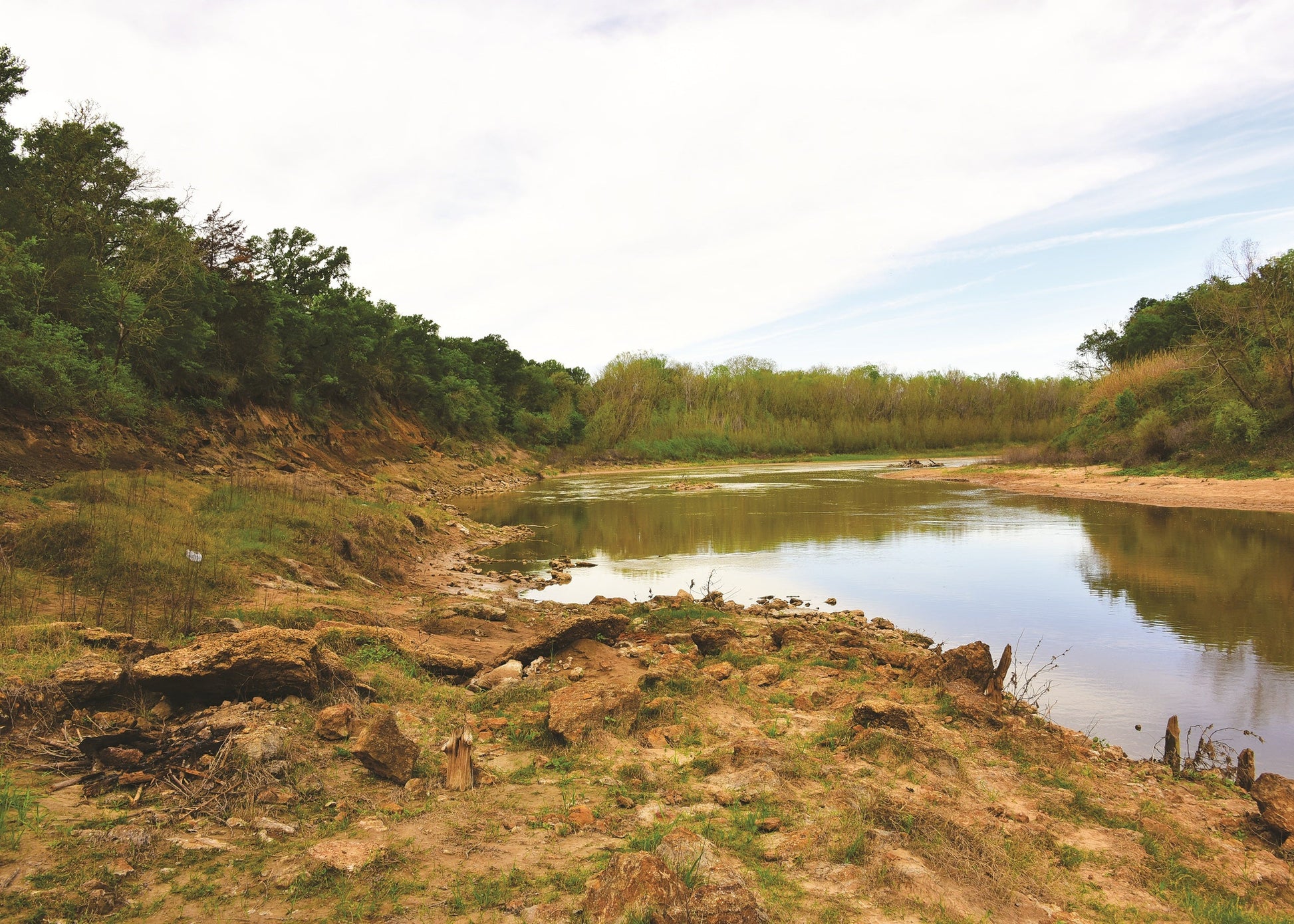 Fossiliferous layers of the Stone City Formation are exposed in the banks of the Brazos River, Texas, USA