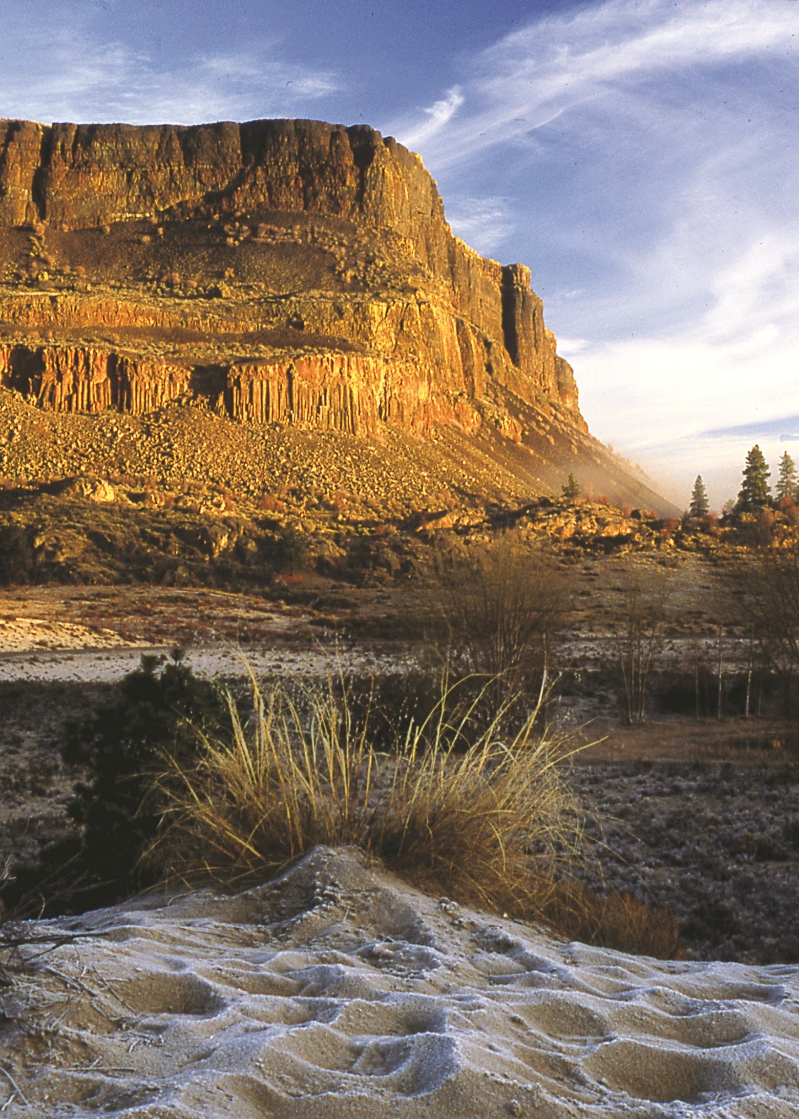 Scenic view of a Steamboat Rock, Washington, with a cliff and sparse vegetation.