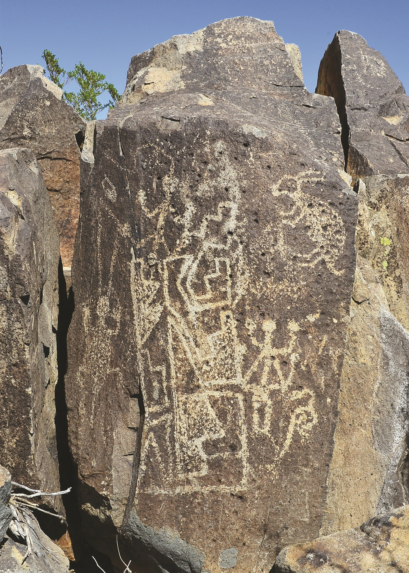 Petroglyphs at the Three Rivers site in New Mexico include figures of humans,
animals, and geometric patterns.