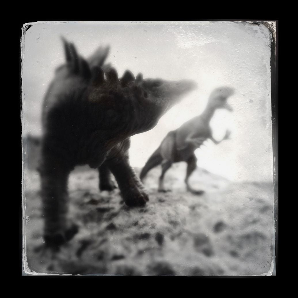 black and white photo of Stegosaurus and Allosaurus in Bridger, Montana
