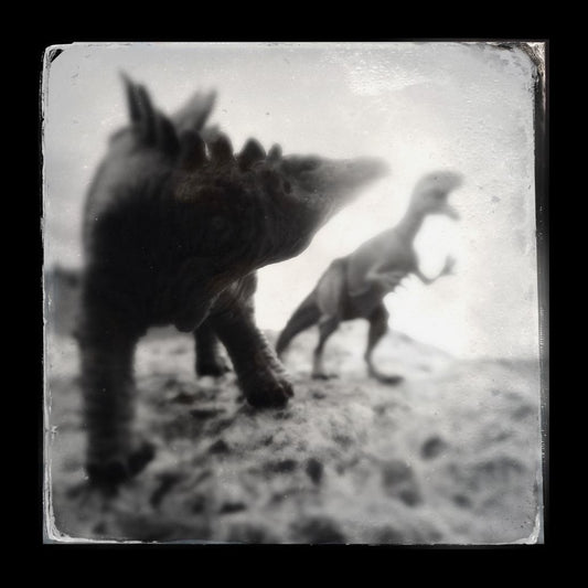 black and white photo of Stegosaurus and Allosaurus in Bridger, Montana