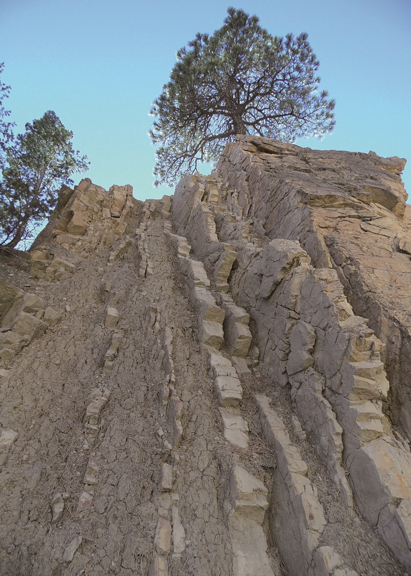 A rocky cliff with trees on a clear day, Dakota Ridge, Colorado 