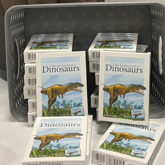 Stacks of 'The Amazing World of Dinosaurs' card decks in a gray basket on a white surface.