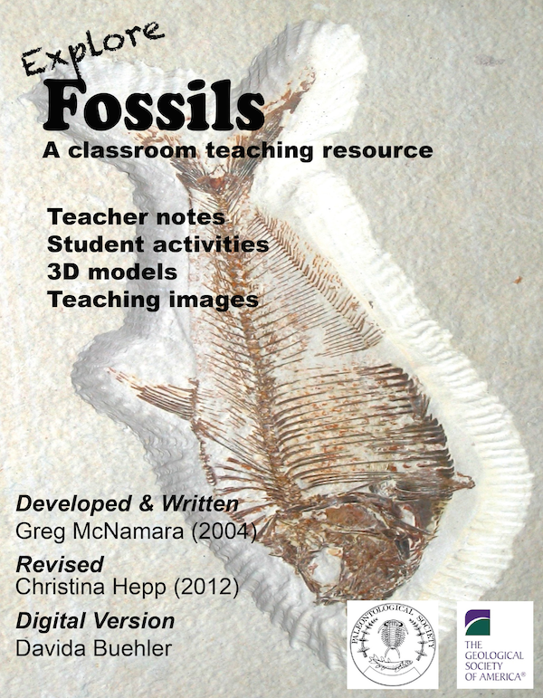 Explore Fossils