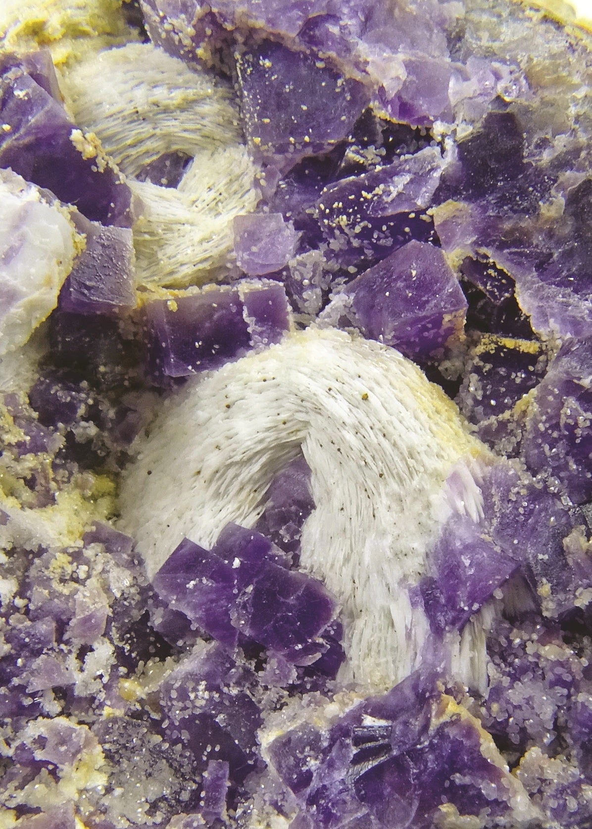Close-up of purple and white crystals