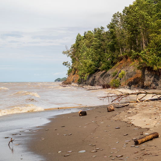 FT25NE8. Landforms and Sedimentology of Erie Bluffs